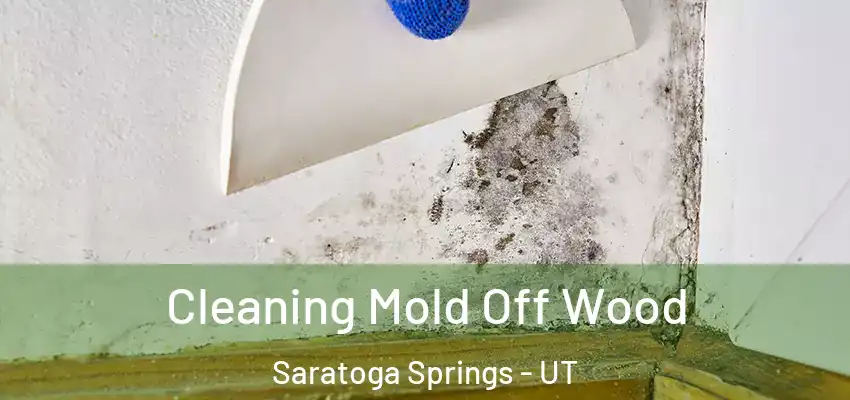  Cleaning Mold Off Wood Saratoga Springs - UT