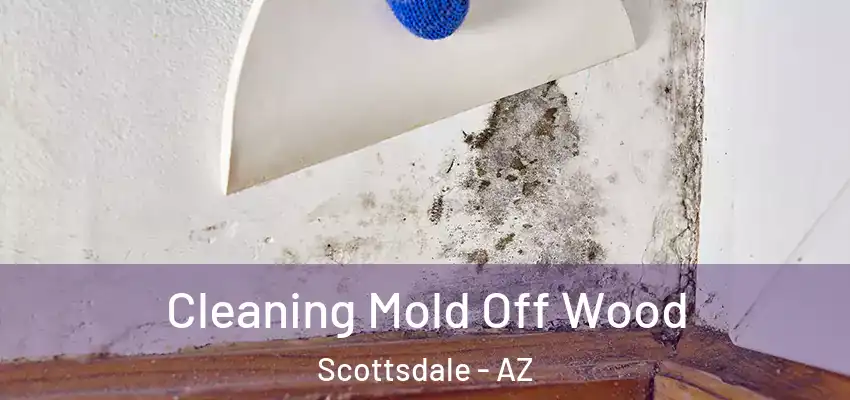 Cleaning Mold Off Wood Scottsdale - AZ