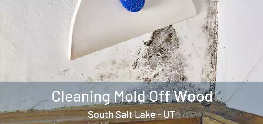 Cleaning Mold Off Wood South Salt Lake - UT