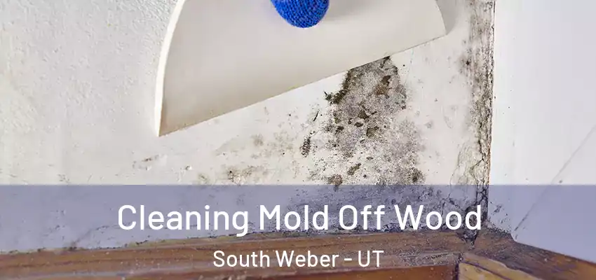 Cleaning Mold Off Wood South Weber - UT