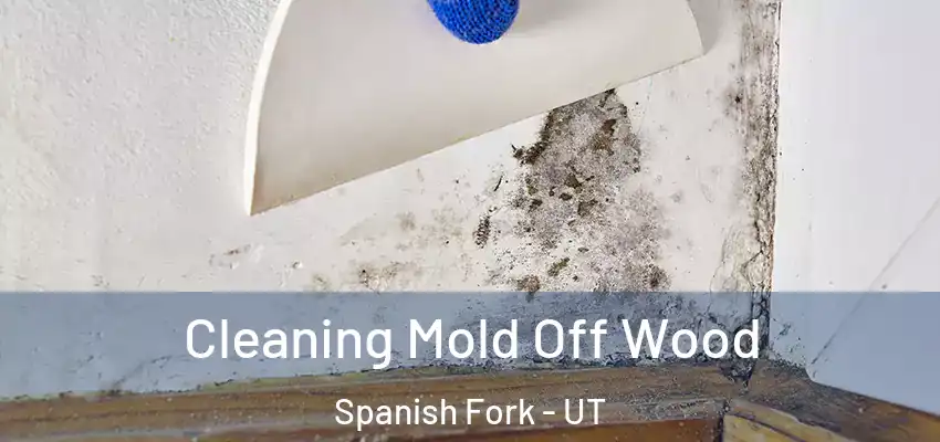 Cleaning Mold Off Wood Spanish Fork - UT