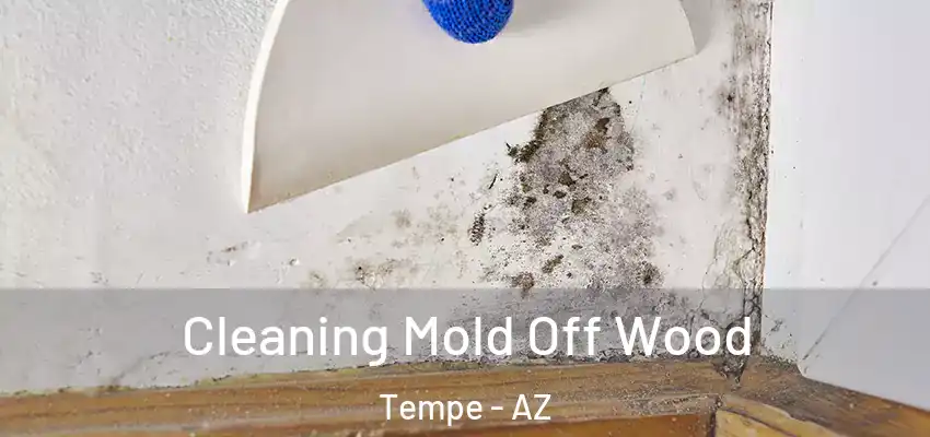 Cleaning Mold Off Wood Tempe - AZ