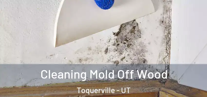 Cleaning Mold Off Wood Toquerville - UT