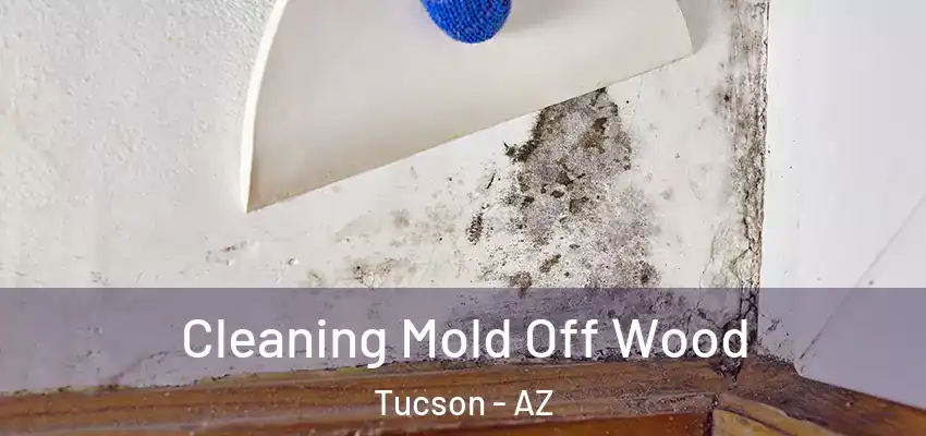  Cleaning Mold Off Wood Tucson - AZ