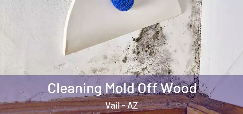  Cleaning Mold Off Wood Vail - AZ