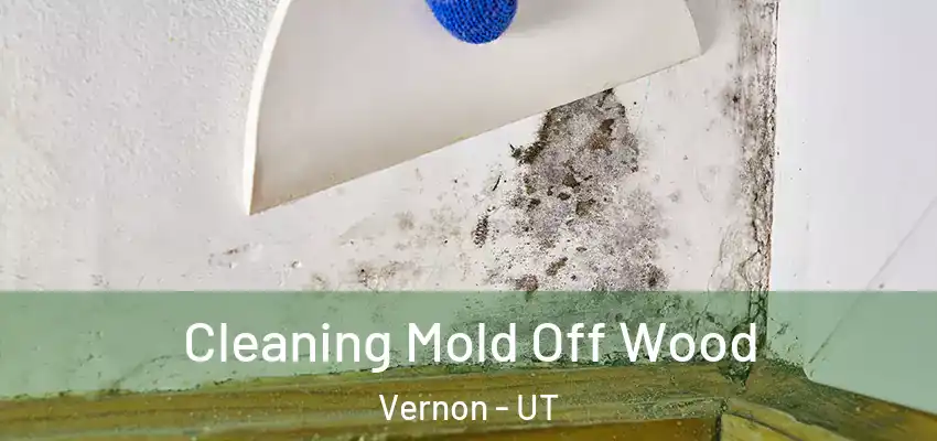 Cleaning Mold Off Wood Vernon - UT