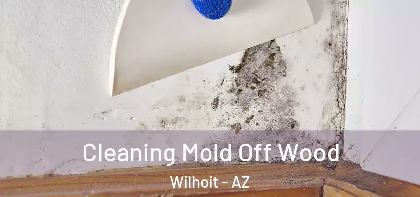 Cleaning Mold Off Wood Wilhoit - AZ