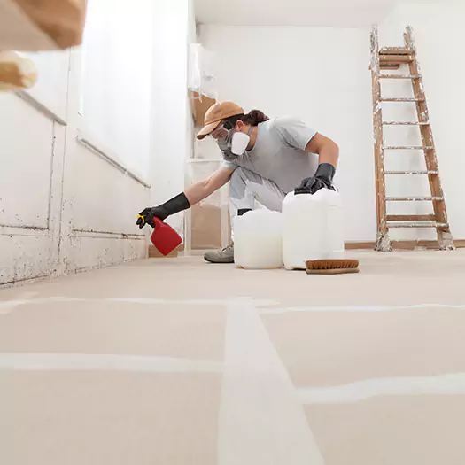 Reliable Mold Stain Remover Specialists in Ogden, UT