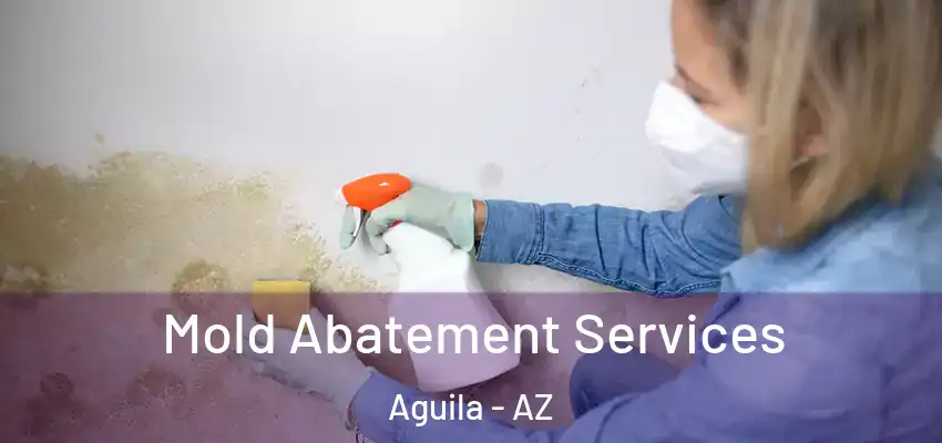  Mold Abatement Services Aguila - AZ