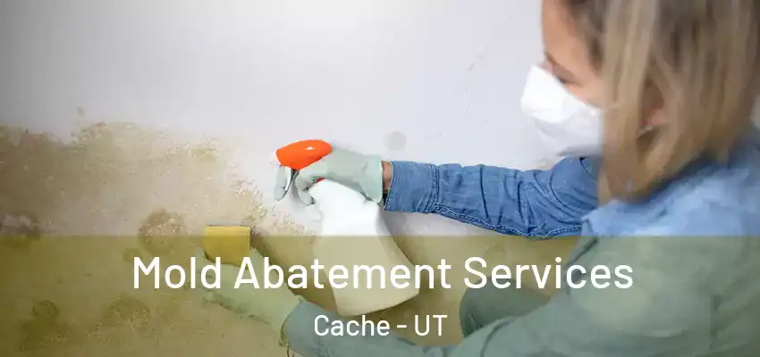  Mold Abatement Services Cache - UT