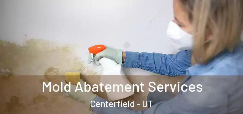 Mold Abatement Services Centerfield - UT