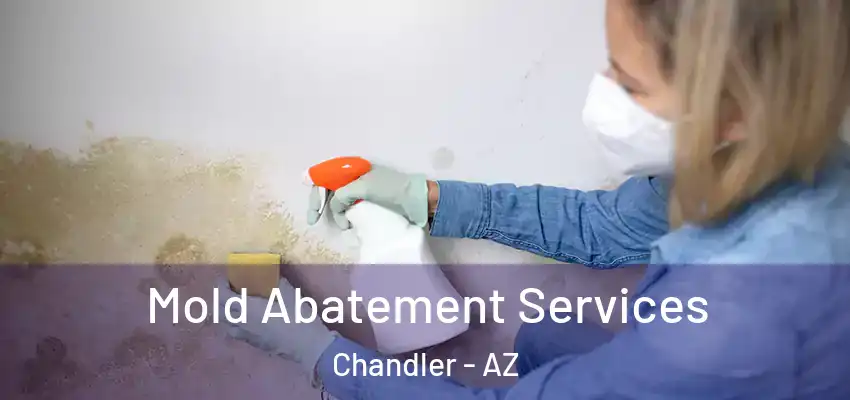  Mold Abatement Services Chandler - AZ