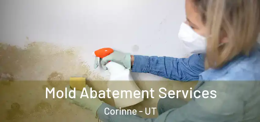  Mold Abatement Services Corinne - UT