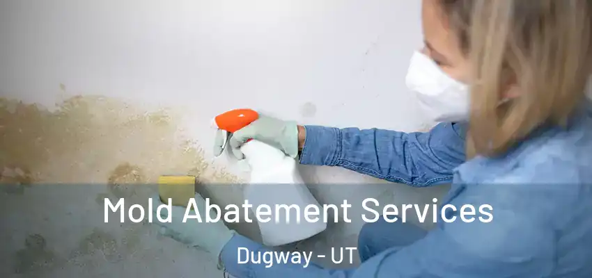  Mold Abatement Services Dugway - UT