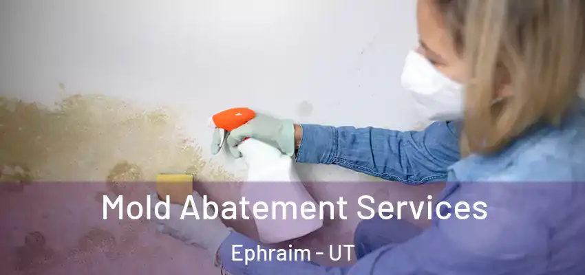  Mold Abatement Services Ephraim - UT