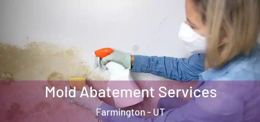 Mold Abatement Services Farmington - UT