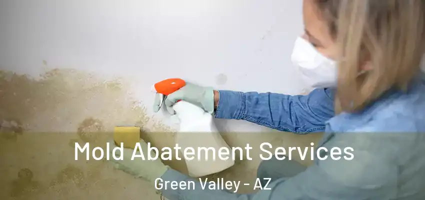Mold Abatement Services Green Valley - AZ