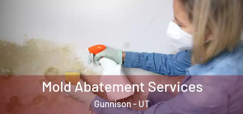 Mold Abatement Services Gunnison - UT