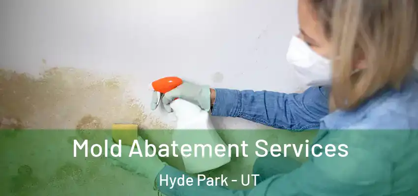  Mold Abatement Services Hyde Park - UT