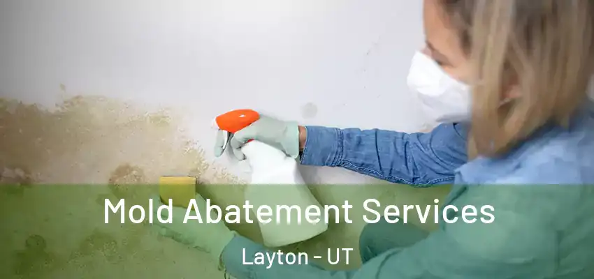  Mold Abatement Services Layton - UT