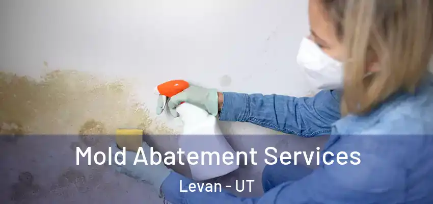 Mold Abatement Services Levan - UT
