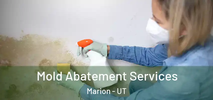 Mold Abatement Services Marion - UT