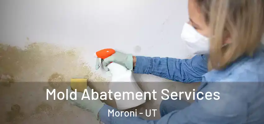 Mold Abatement Services Moroni - UT