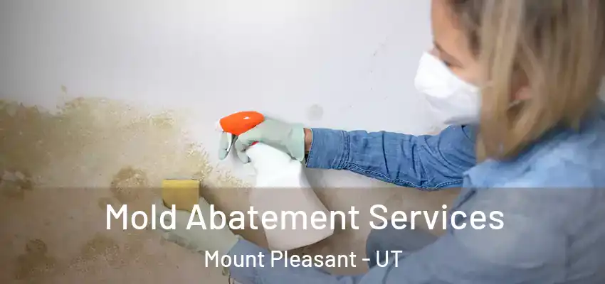  Mold Abatement Services Mount Pleasant - UT