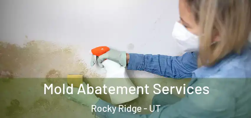  Mold Abatement Services Rocky Ridge - UT
