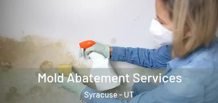  Mold Abatement Services Syracuse - UT