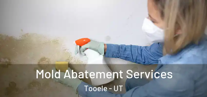 Mold Abatement Services Tooele - UT