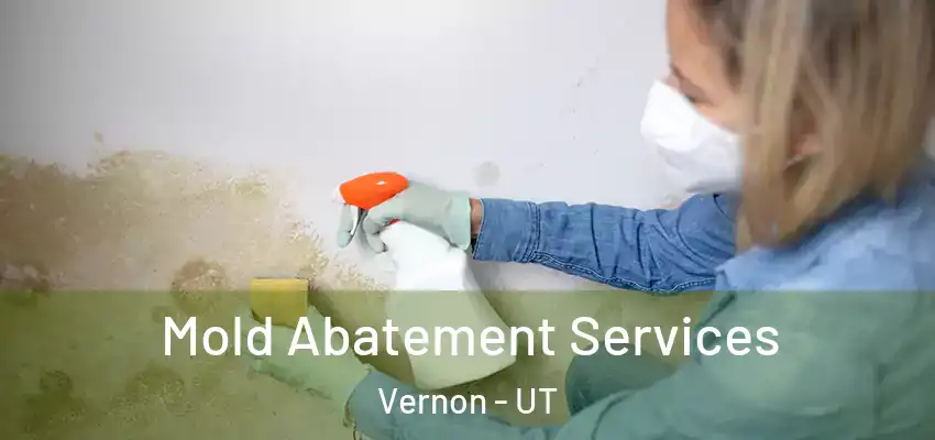  Mold Abatement Services Vernon - UT