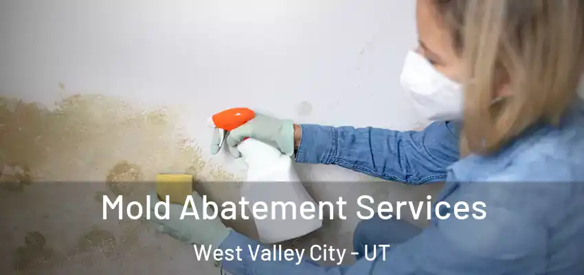  Mold Abatement Services West Valley City - UT