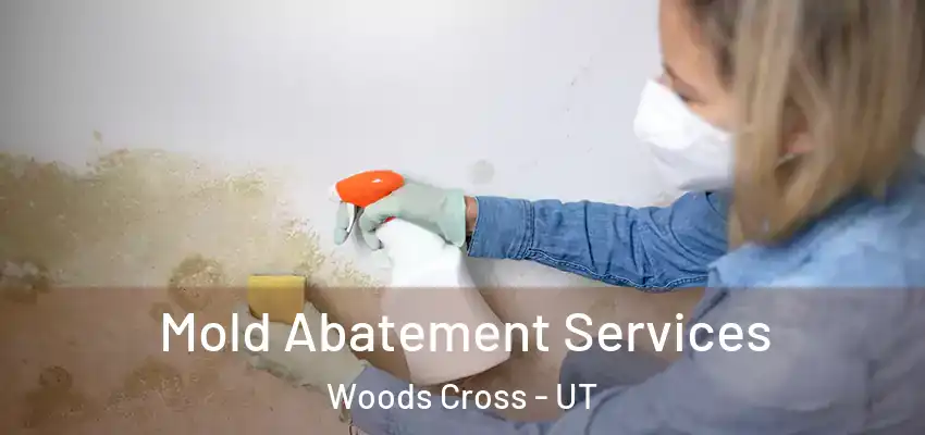  Mold Abatement Services Woods Cross - UT