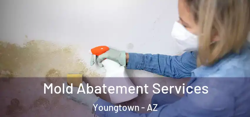  Mold Abatement Services Youngtown - AZ