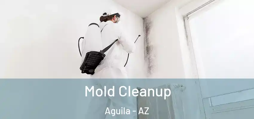  Mold Cleanup Aguila - AZ