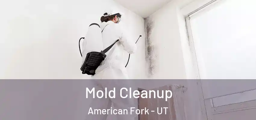 Mold Cleanup American Fork - UT