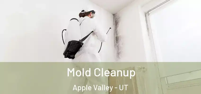  Mold Cleanup Apple Valley - UT