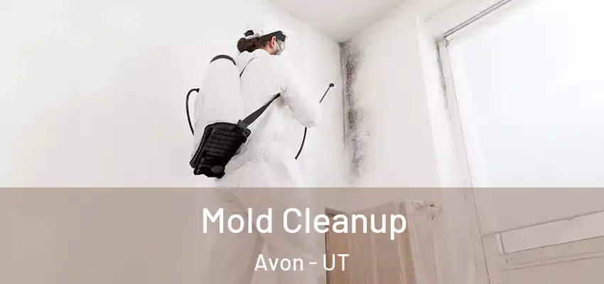  Mold Cleanup Avon - UT