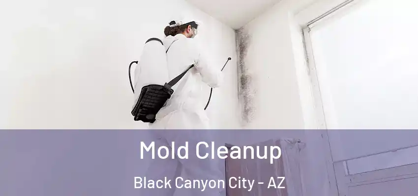  Mold Cleanup Black Canyon City - AZ