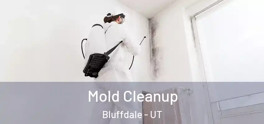 Mold Cleanup Bluffdale - UT