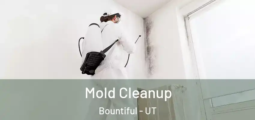  Mold Cleanup Bountiful - UT