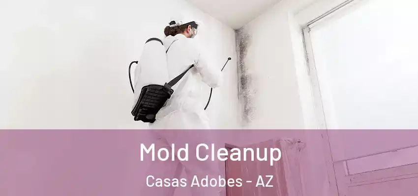  Mold Cleanup Casas Adobes - AZ
