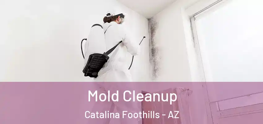  Mold Cleanup Catalina Foothills - AZ