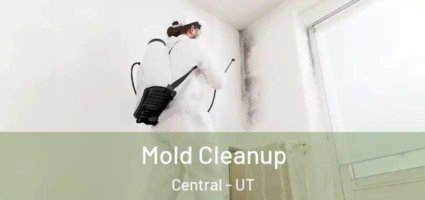  Mold Cleanup Central - UT
