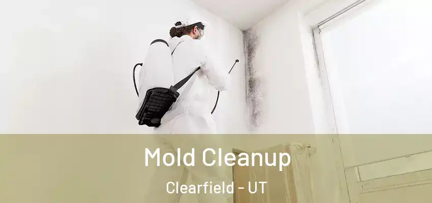  Mold Cleanup Clearfield - UT