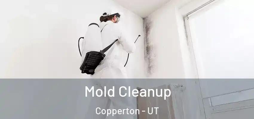  Mold Cleanup Copperton - UT