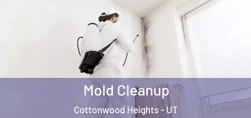  Mold Cleanup Cottonwood Heights - UT