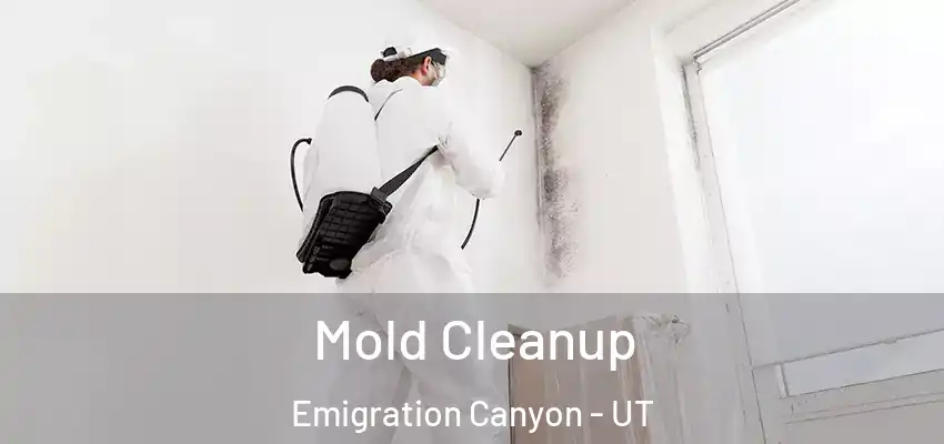  Mold Cleanup Emigration Canyon - UT