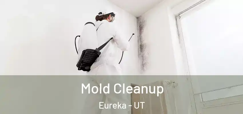 Mold Cleanup Eureka - UT